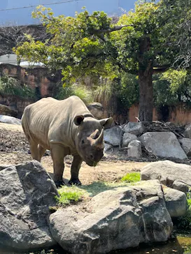 天王寺動物園に投稿された画像（2024/4/1）
