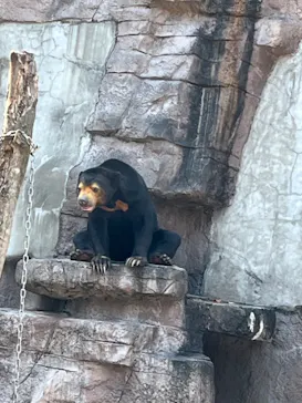 天王寺動物園に投稿された画像（2024/4/1）