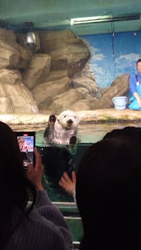 マリンワールド海の中道に投稿された画像（2024/4/1）