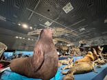 特別展「大哺乳類展３－わけてつなげて大行進」に投稿された画像（2024/4/1）