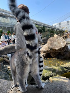 神戸どうぶつ王国に投稿された画像（2024/4/1）