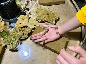 ゼロ距離水族館 伊勢シーパラダイスに投稿された画像（2024/4/1）