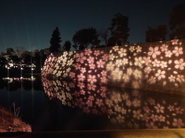 NAKED meets 二条城 2025 観月に投稿された画像（2024/4/1）