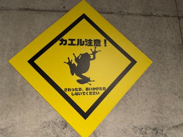 体感型動物園iZooに投稿された画像（2024/4/1）