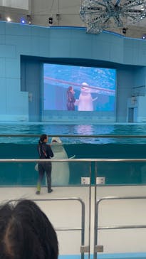 横浜・八景島シーパラダイスに投稿された画像（2024/4/1）