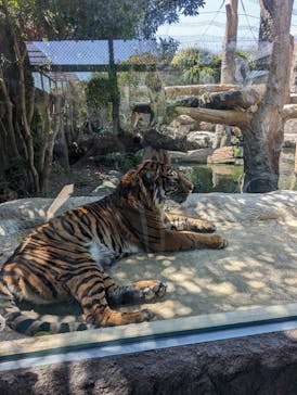 神戸どうぶつ王国に投稿された画像（2024/4/1）