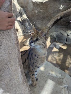 神戸どうぶつ王国に投稿された画像（2024/4/1）