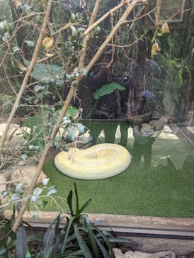 神戸どうぶつ王国に投稿された画像（2024/4/1）