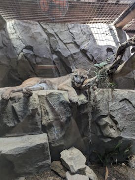 神戸どうぶつ王国に投稿された画像（2024/4/1）