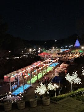 西武園ゆうえんちに投稿された画像（2024/4/1）