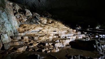 秋芳洞に投稿された画像（2024/4/1）