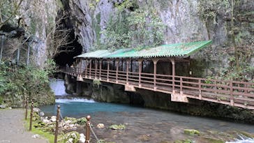 秋芳洞に投稿された画像（2024/4/1）