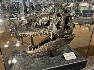福井県立恐竜博物館に投稿された画像（2024/4/1）