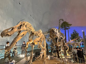 福井県立恐竜博物館に投稿された画像（2024/4/1）
