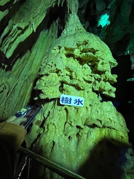 あぶくま洞に投稿された画像（2024/4/1）