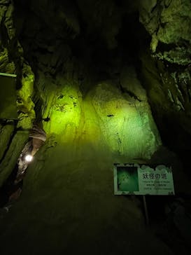 あぶくま洞に投稿された画像（2024/4/1）