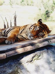 秋吉台自然動物公園 サファリランドに投稿された画像（2024/4/1）