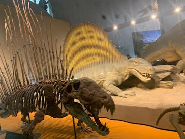 福井県立恐竜博物館に投稿された画像（2024/4/1）