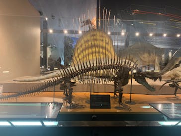 福井県立恐竜博物館に投稿された画像（2024/4/1）