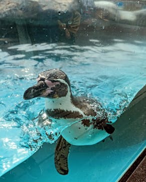 東武動物公園に投稿された画像（2024/4/1）