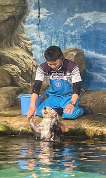 マリンワールド海の中道に投稿された画像（2024/4/1）