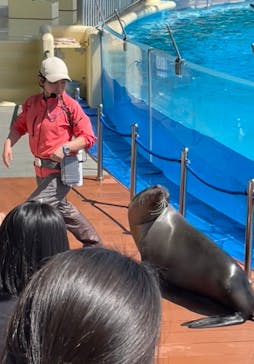 マリンワールド海の中道に投稿された画像（2024/4/1）
