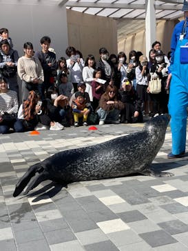 マリンワールド海の中道に投稿された画像（2024/4/1）