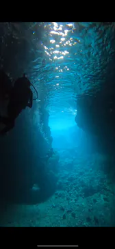 武藤潜水に投稿された画像（2024/4/2）