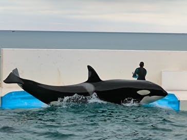 鴨川シーワールドに投稿された画像（2024/4/2）