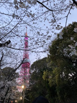 東京タワーに投稿された画像（2024/4/2）
