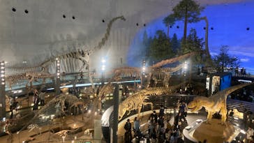 福井県立恐竜博物館に投稿された画像（2024/4/2）