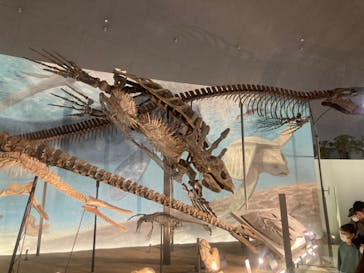 福井県立恐竜博物館に投稿された画像（2024/4/2）