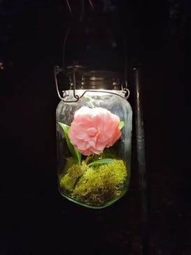 六義園に投稿された画像（2024/4/2）