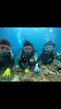 武藤潜水に投稿された画像（2024/4/2）