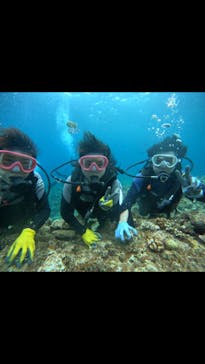 武藤潜水に投稿された画像（2024/4/2）