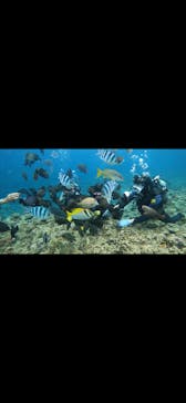 武藤潜水に投稿された画像（2024/4/2）