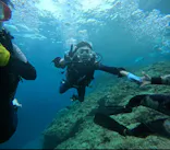 武藤潜水に投稿された画像（2024/4/2）