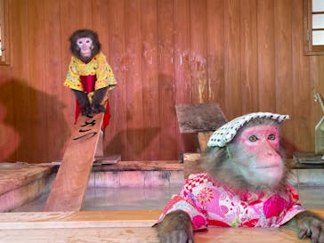 おさるの湯もみ処　おさ湯に投稿された画像（2024/4/2）