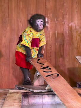 おさるの湯もみ処　おさ湯に投稿された画像（2024/4/2）