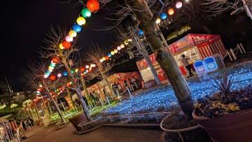 西武園ゆうえんちに投稿された画像（2024/4/2）