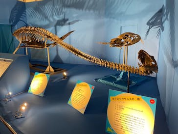 オダイバ恐竜博覧会2024 -福井から“ヤツラ”が新幹線でやってくる！-に投稿された画像（2024/4/2）