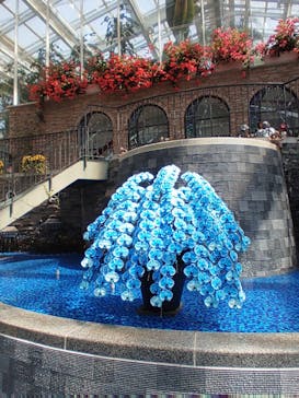 浜名湖花博2024に投稿された画像（2024/4/2）