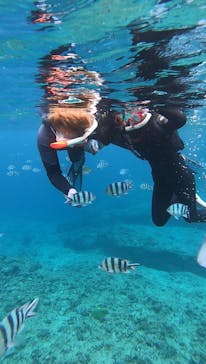 武藤潜水に投稿された画像（2024/4/2）