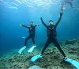 武藤潜水に投稿された画像（2024/4/2）