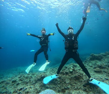 武藤潜水に投稿された画像（2024/4/2）