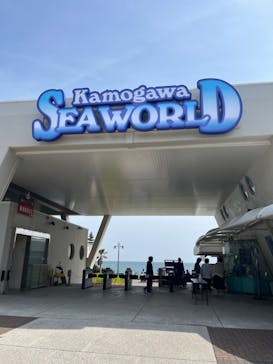 鴨川シーワールドに投稿された画像（2024/4/2）