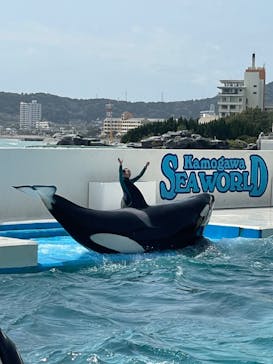 鴨川シーワールドに投稿された画像（2024/4/2）