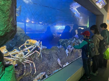 鴨川シーワールドに投稿された画像（2024/4/2）