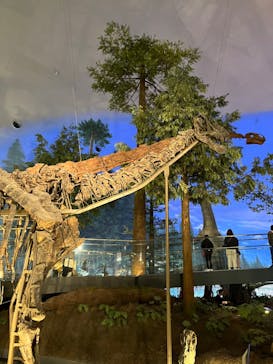 福井県立恐竜博物館に投稿された画像（2024/4/2）