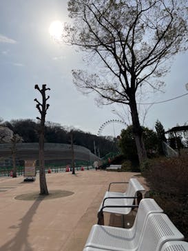 東京サマーランドに投稿された画像（2024/4/2）
